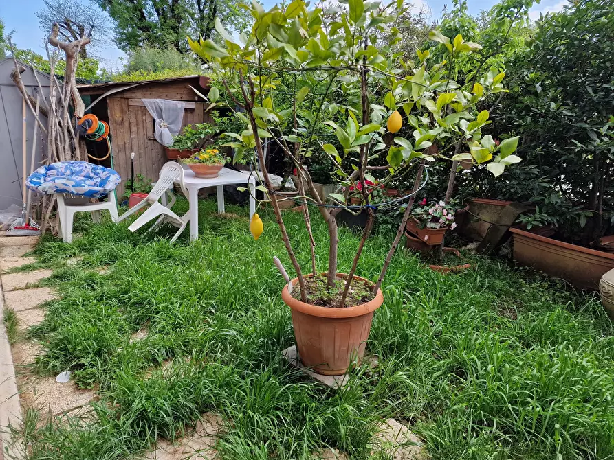 Immagine 28 di Quadrilocale in vendita  in Via Arezzo a Perugia