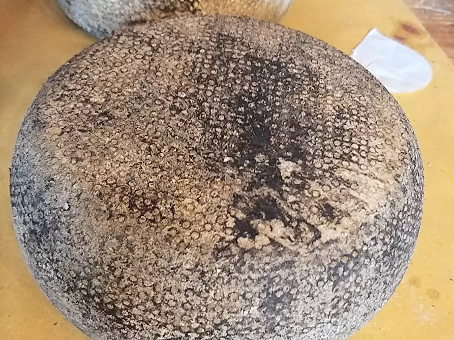 Immagine 8 di Attività commerciale in vendita  in Strada per Chianciano 3 a Montepulciano