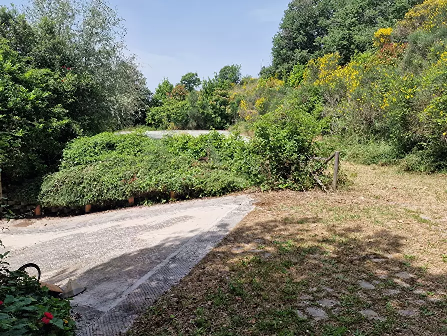 Immagine 64 di Villa in vendita  in Via dei Cespugli 12 a Passignano Sul Trasimeno