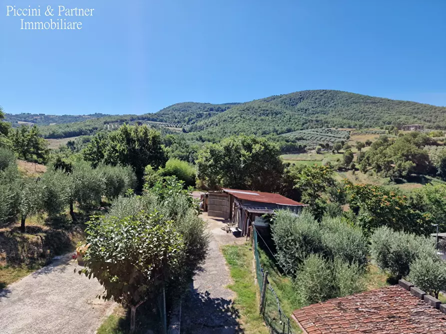 Immagine 49 di Porzione di casa in vendita  in Via Coste a Piegaro