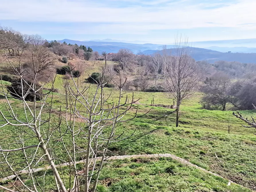Immagine 79 di Rustico / casale in vendita  in Via del Conventaccio a Ficulle