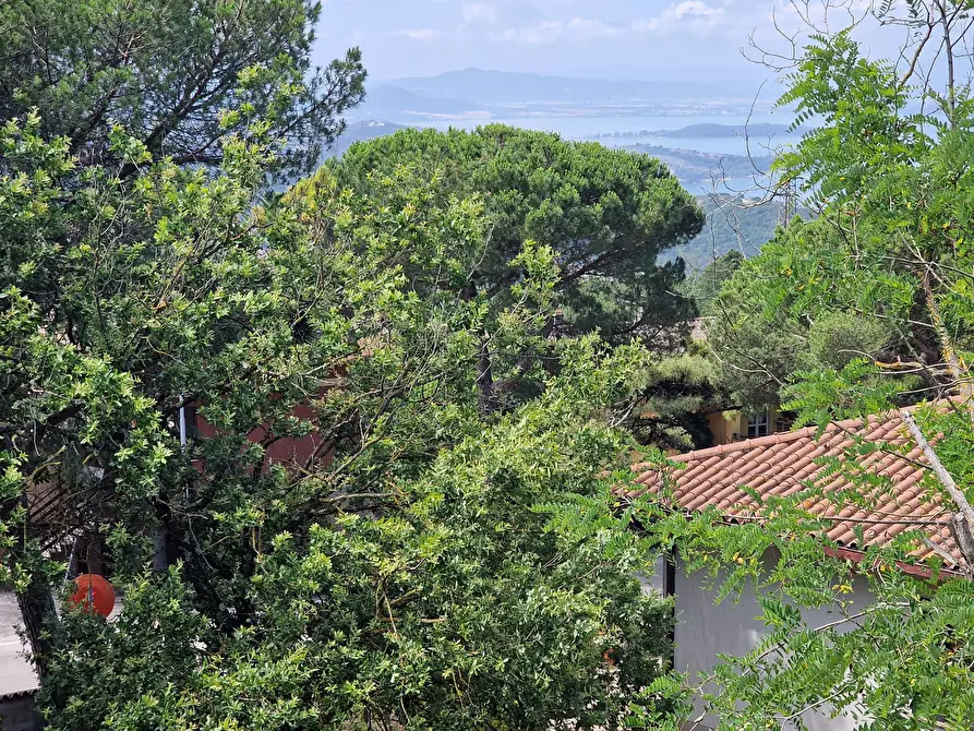 Immagine 37 di Villa in vendita  in Via delle Baite a Passignano Sul Trasimeno