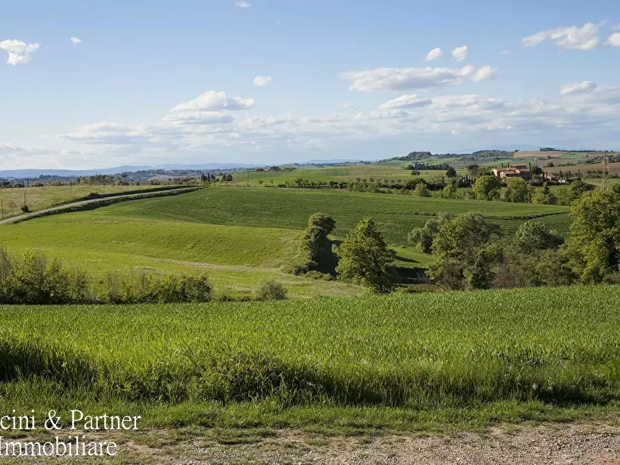 Immagine 28 di Rustico / casale in vendita  in Località Cantagallina Alta 11 a Castiglione Del Lago