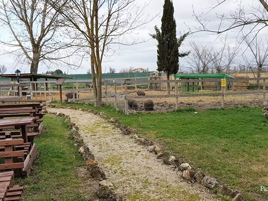 Immagine 33 di Rustico / casale in vendita  in Via Buglicheto 2 a Bevagna