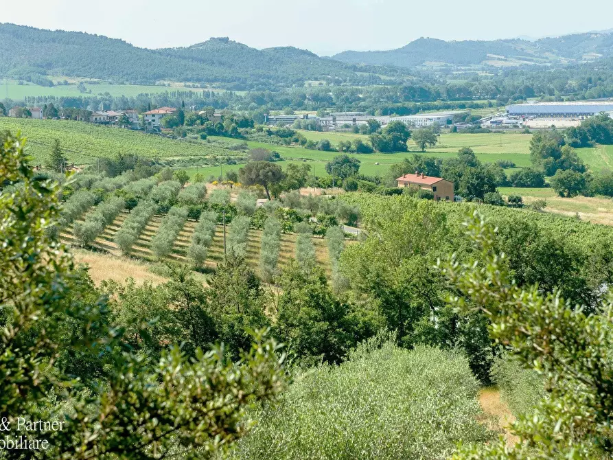 Immagine 12 di Albergo/B&B/Residence in vendita  a Magione