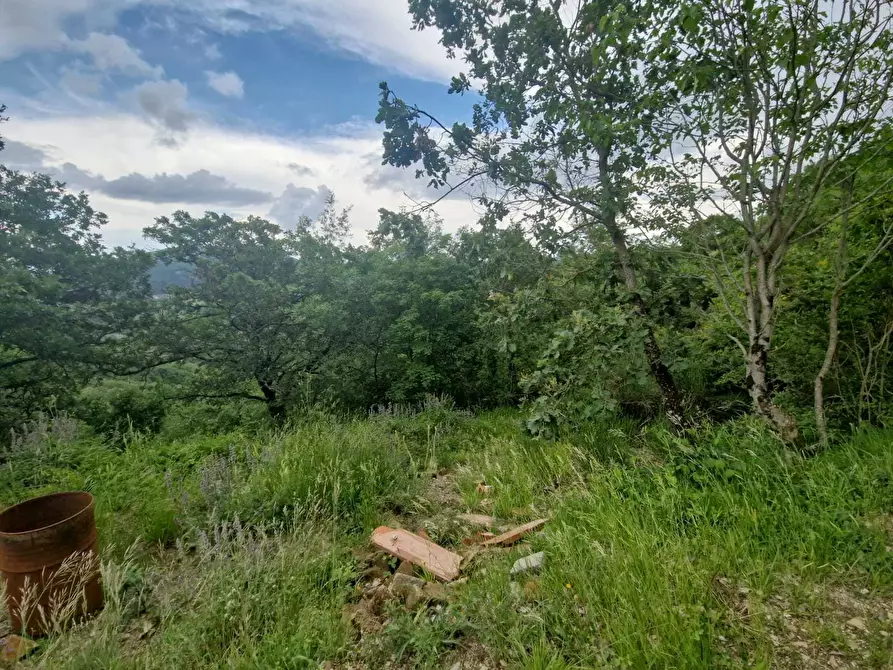Immagine 23 di Terreno agricolo in vendita  in Racchiusole a Umbertide