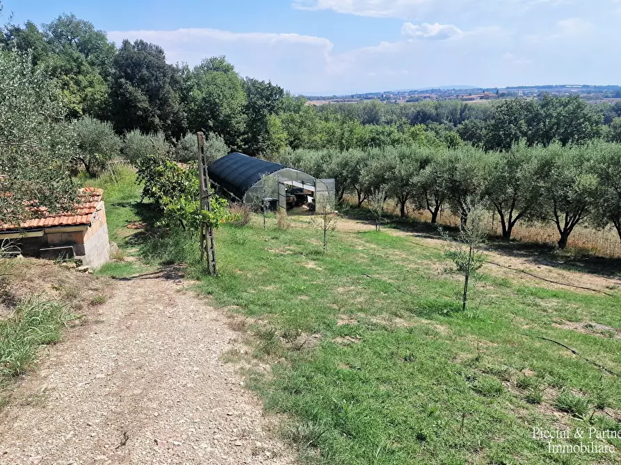 Immagine 97 di Villa in vendita  in Via Agreste a Corciano