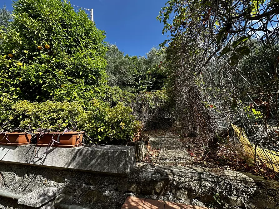 Immagine 25 di Villetta a schiera in vendita  in Via San Benedetto 4 a Diano Arentino