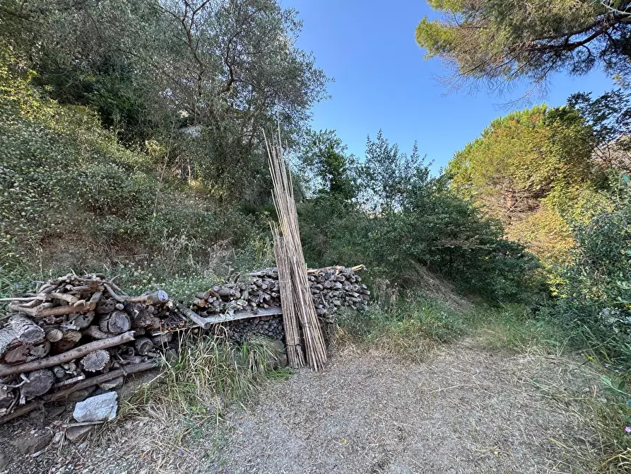 Immagine 28 di Rustico / casale in vendita  in Via Val D'Olivi 185 a San Remo