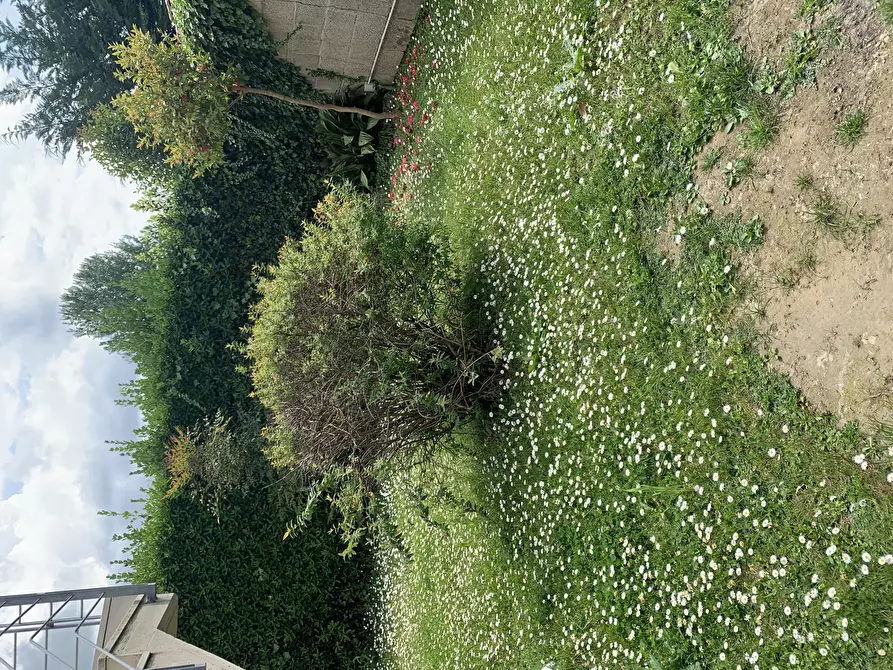 Immagine 34 di Casa semindipendente in affitto  a Pietrasanta