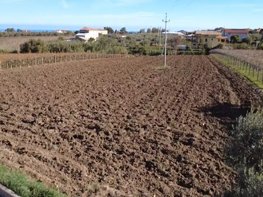 Immagine 3 di Terreno edificabile in vendita  in Contrada Codacchie 58 a Rocca San Giovanni