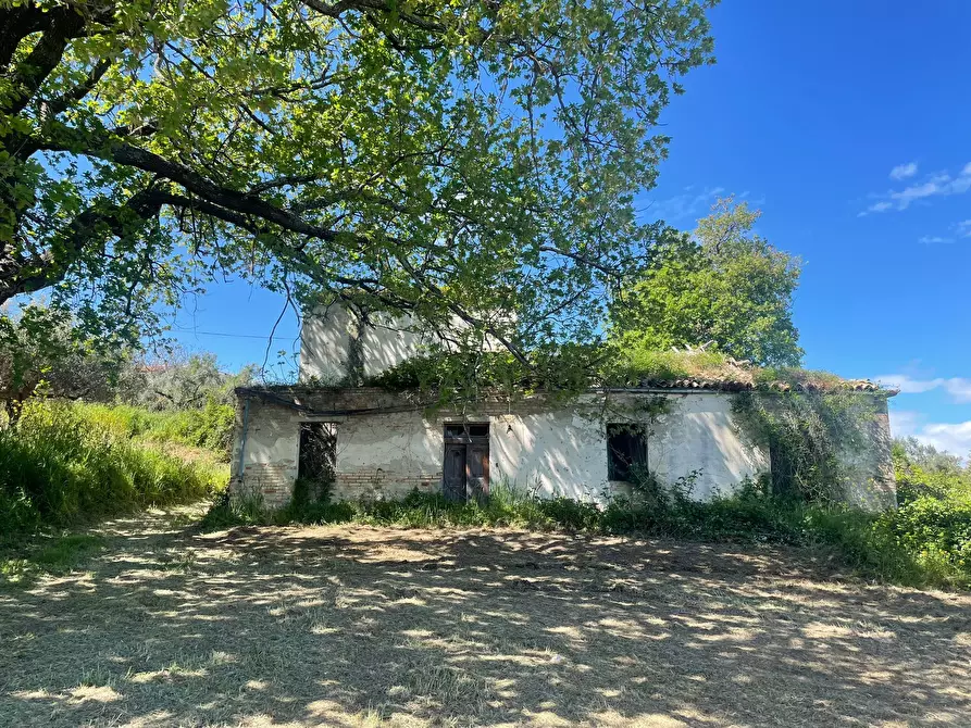 Immagine 2 di Casa indipendente in vendita  in contrada ranco 55 a Paglieta
