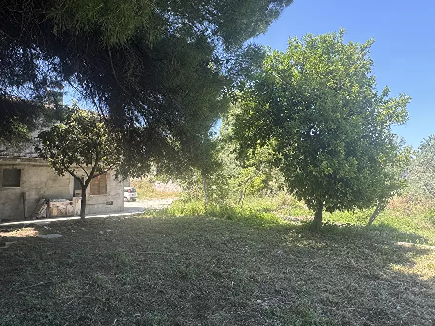 Immagine 7 di Casa semindipendente in vendita  in Via Lascianna 9 a Roccascalegna