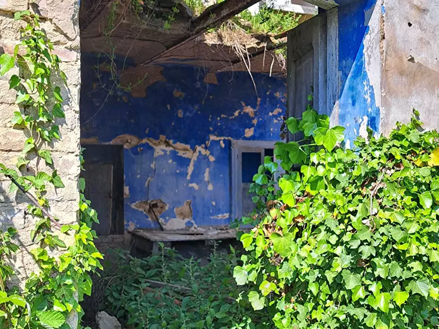 Immagine 19 di Rustico / casale in vendita  in C.DA CASTELLANA a Treglio