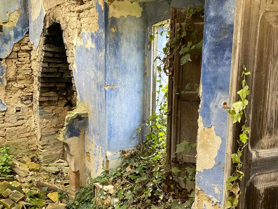 Immagine 22 di Rustico / casale in vendita  in C.DA CASTELLANA a Treglio