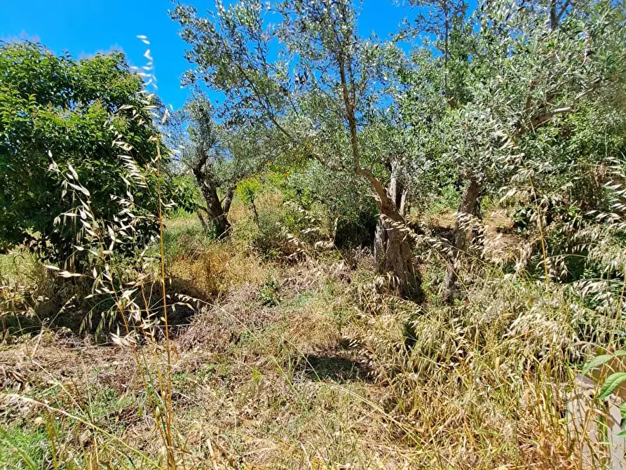 Immagine 16 di Rustico / casale in vendita  in STRADA P. MEDIANA 51 a Fossacesia