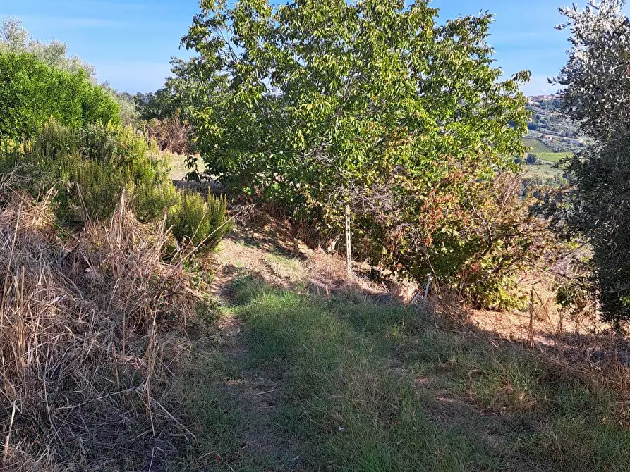 Immagine 62 di Casa indipendente in vendita  in COLLE DELLA FONTE 94 a Frisa