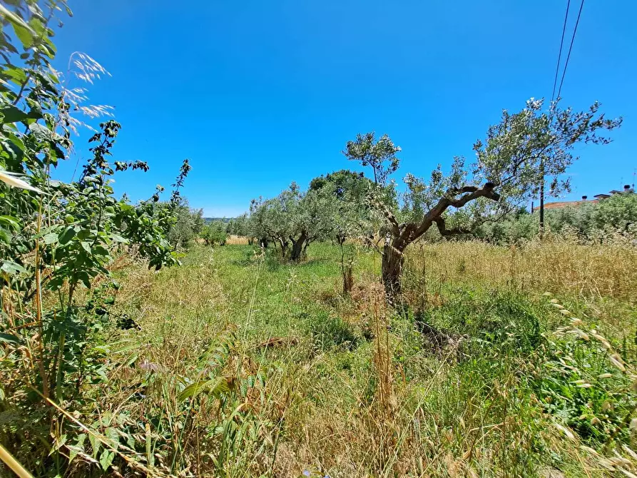 Immagine 10 di Rustico / casale in vendita  in STRADA P. MEDIANA 51 a Fossacesia