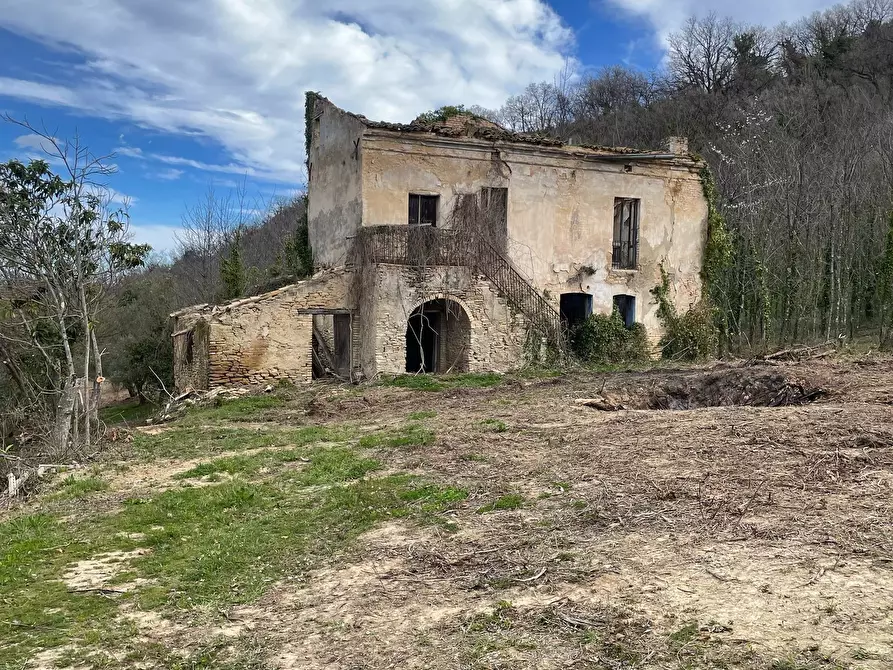 Immagine 44 di Rustico / casale in vendita  in C.DA CASTELLANA a Treglio