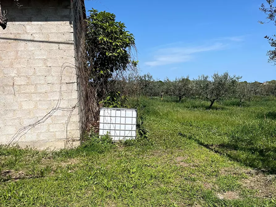 Immagine 29 di Quadrilocale in vendita  in Via Provinciale della Rocca 39 a Santa Maria Imbaro