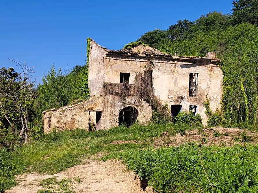 Immagine 3 di Rustico / casale in vendita  in C.DA CASTELLANA a Treglio