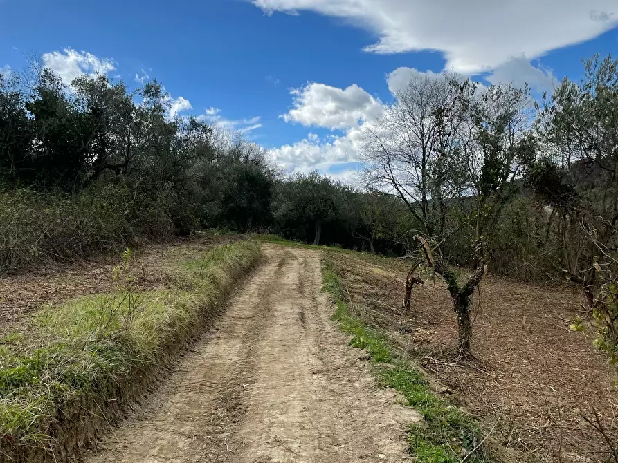 Immagine 13 di Rustico / casale in vendita  in C.DA CASTELLANA a Treglio