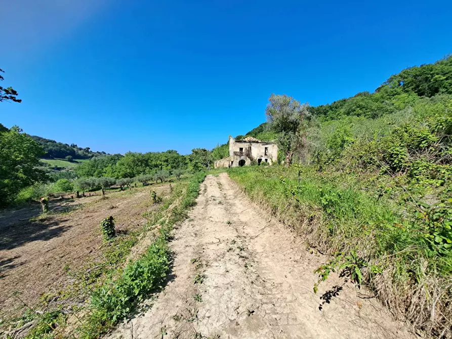 Immagine 4 di Rustico / casale in vendita  in C.DA CASTELLANA a Treglio