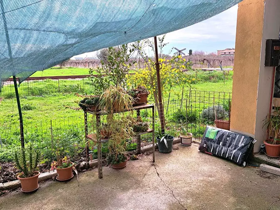 Immagine 42 di Rustico / casale in vendita  in Contrada da Cona 34 a San Vito Chietino