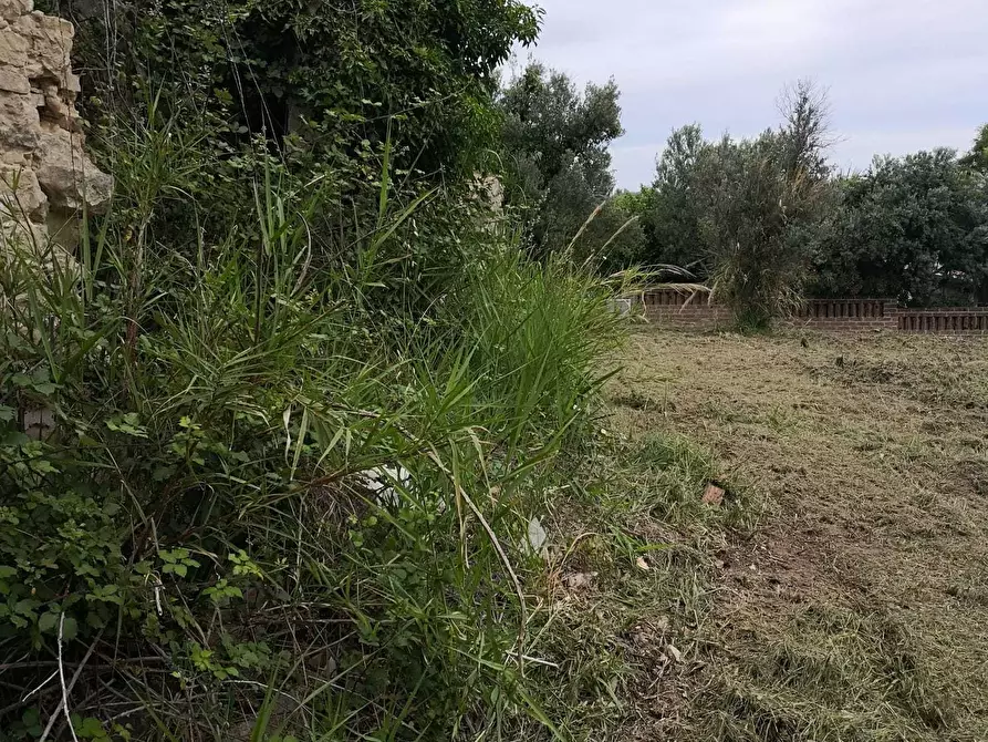 Immagine 4 di Terreno edificabile in vendita  in Via Puglianna a Treglio