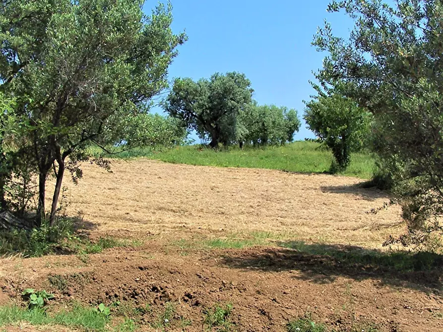 Immagine 5 di Terreno industriale in vendita  in contrada puglianna a Treglio