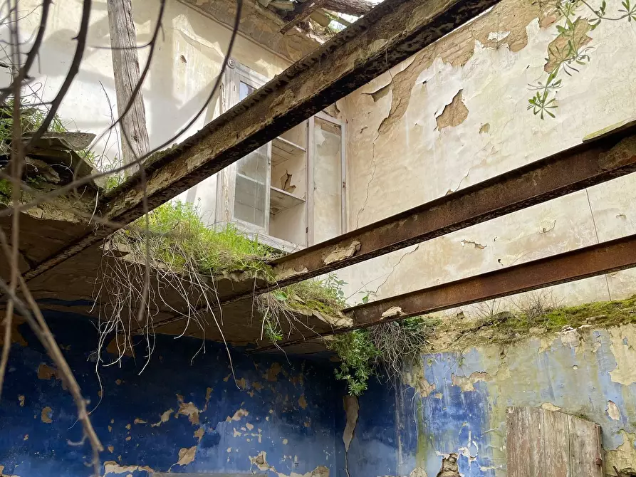 Immagine 50 di Rustico / casale in vendita  in C.DA CASTELLANA a Treglio