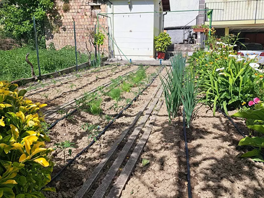 Immagine 50 di Terratetto in vendita  in Contrada Santa Maria dei Mesi a Lanciano