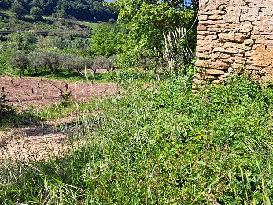 Immagine 38 di Rustico / casale in vendita  in C.DA CASTELLANA a Treglio