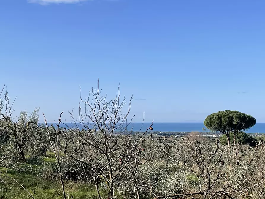 Immagine 36 di Villa in vendita  in Via Aurelia Sud a San Vincenzo