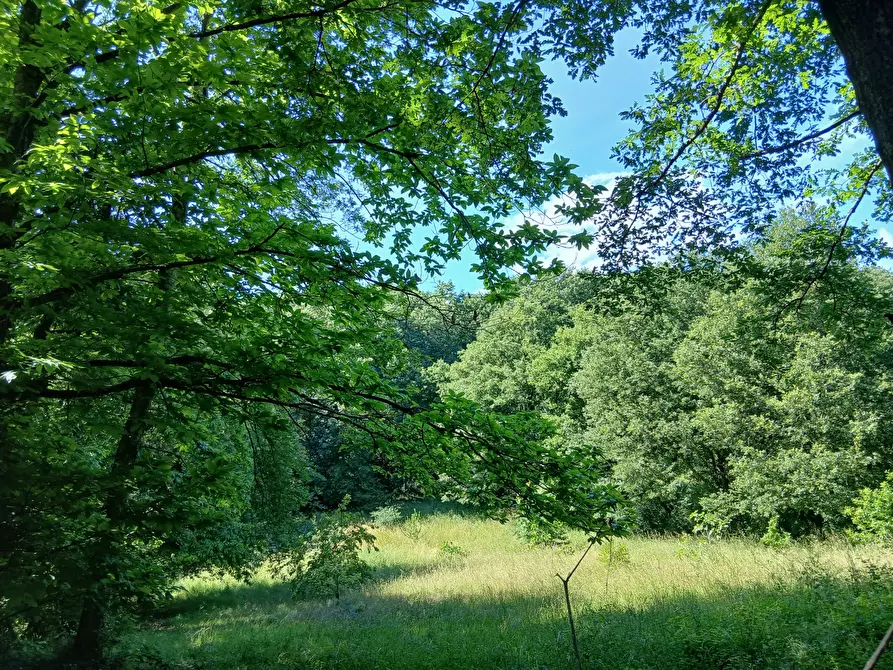 Immagine 1 di Terreno agricolo in vendita  in Via delle Querce a Manziana