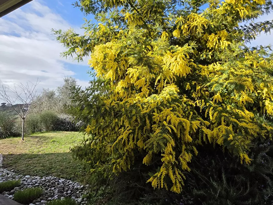 Immagine 13 di Villa in vendita  in Via Aldo Moro 889 a Morlupo