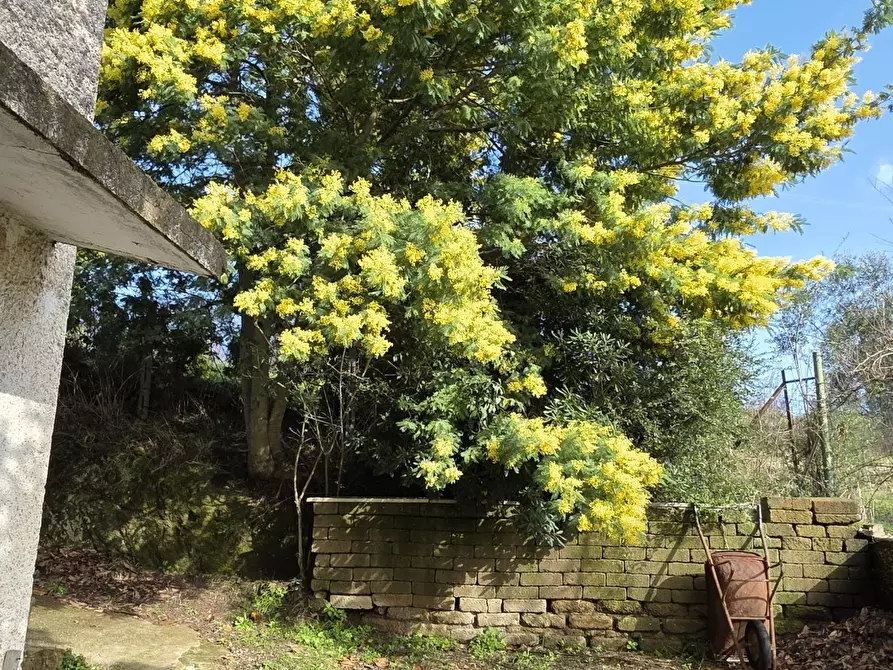 Immagine 95 di Casa indipendente in vendita  in Via Paolo Borsellino 66 a Morlupo