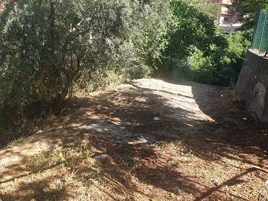 Immagine 1 di Terreno agricolo in vendita  in Via Giulio Roncacci 1 a Morlupo