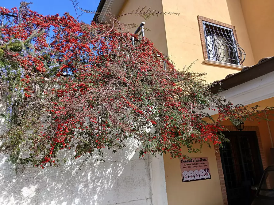 Immagine 127 di Villa in vendita  in Via Aldo Moro 889 a Morlupo