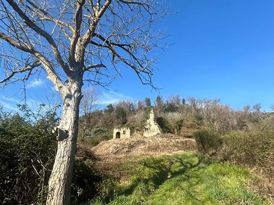 Immagine 15 di Terreno agricolo in vendita  in Via delle Grotte 1521 a Morlupo