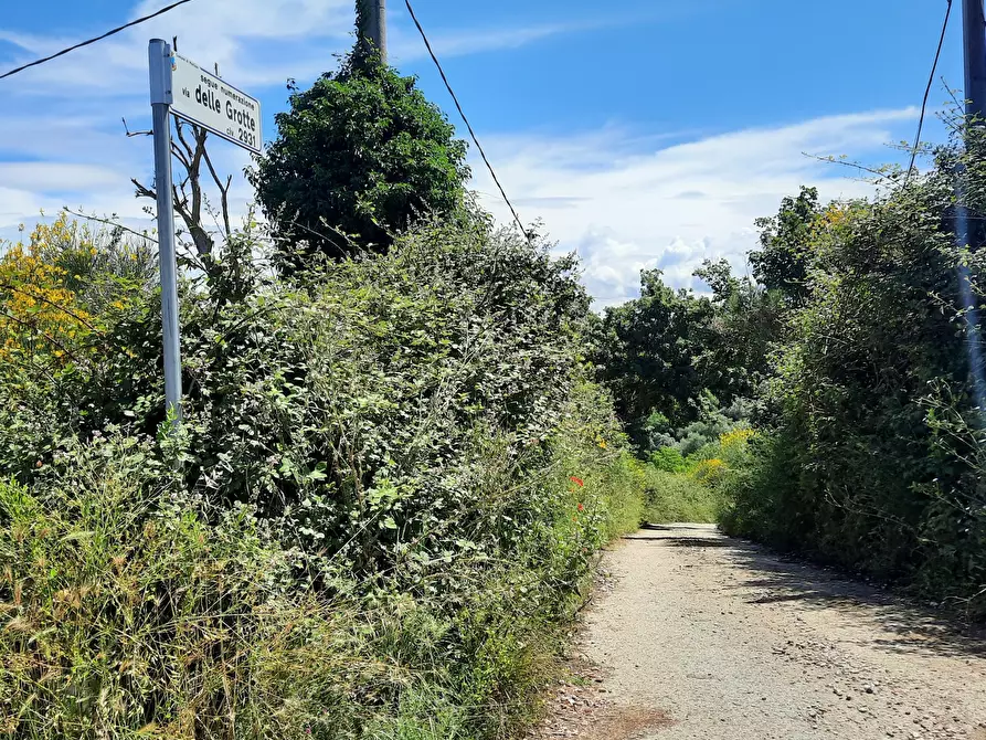 Immagine 3 di Terreno agricolo in vendita  in Via delle Grotte 2920 a Morlupo