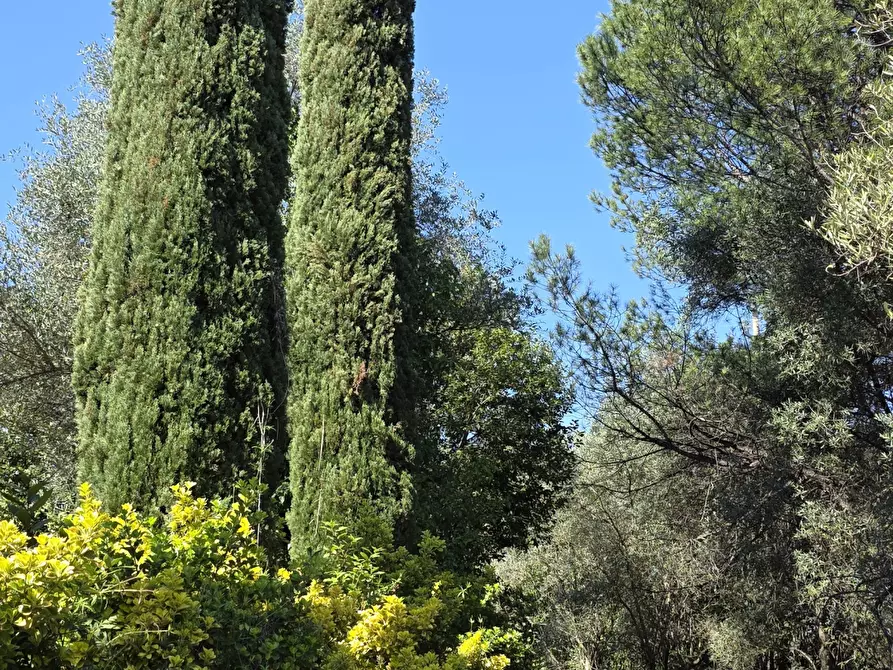 Immagine 12 di Terreno agricolo in vendita  in Via Enrico Fermi 13 a Morlupo