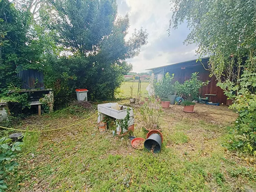 Immagine 11 di Terreno agricolo in vendita  in Frazione Remondato 30 a Ciriè