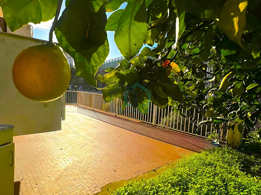 Immagine 13 di Trilocale in vendita  in Via Nicolò Sardi 30 a Varazze