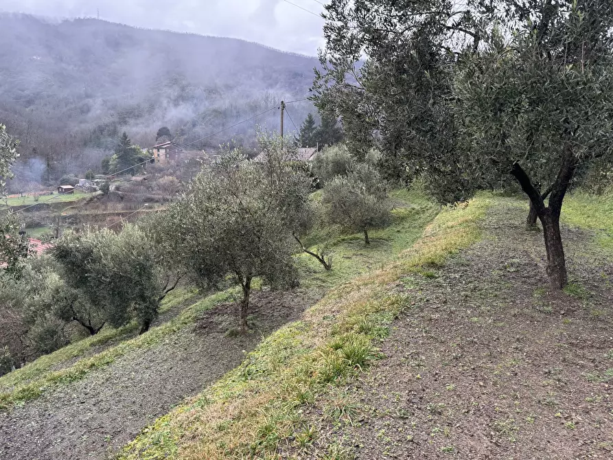 Immagine 6 di Porzione di casa in vendita  a San Colombano Certenoli