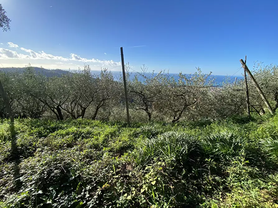 Immagine 38 di Casa indipendente in vendita  a Cogorno