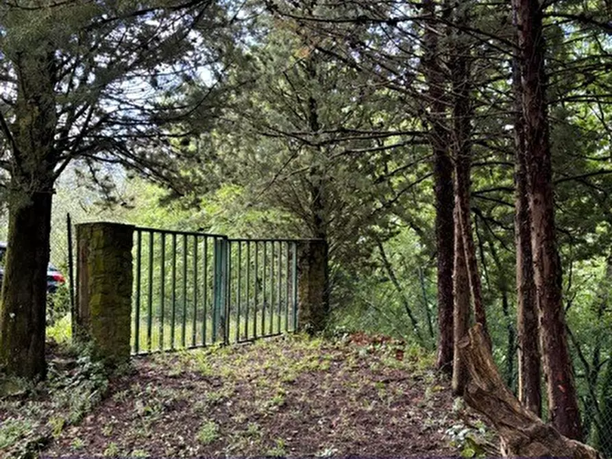 Immagine 5 di Terreno industriale in vendita  in Via degli Imberta a Londa