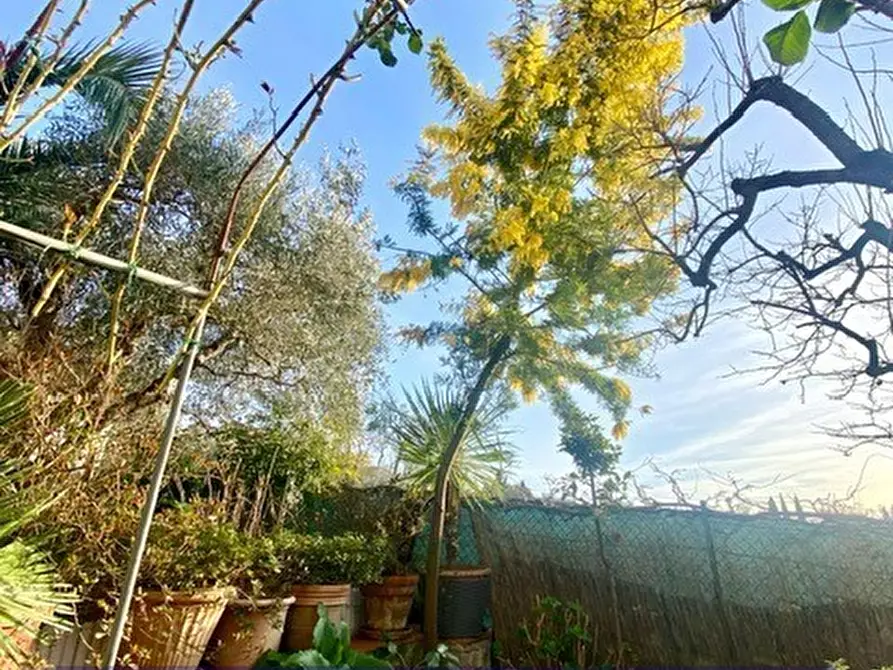 Immagine 19 di Villa in vendita  in Via dei Bagni a Greve In Chianti