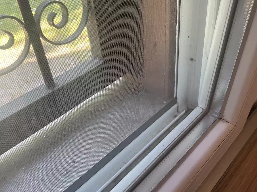 Immagine 48 di Casa bifamiliare in vendita  in Via Poggio 21c a San Giovanni In Persiceto