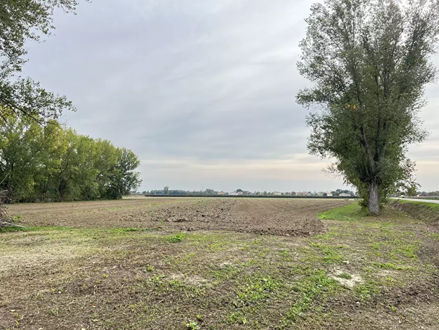 Immagine 11 di Rustico / casale in vendita  a Crevalcore